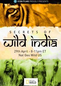 Секреты дикой Индии (2012) Secrets of Wild India