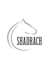 Шадрак (2024) Shadrach