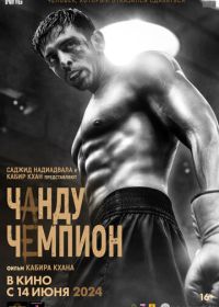 Чанду – чемпион (2024) Chandu Champion