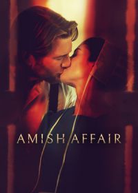 Божественный роман (2024) Amish Affair