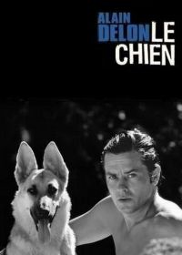 Пес (1962) Le chien