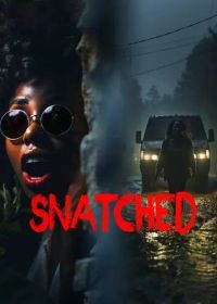 Схваченные (2024) Snatched