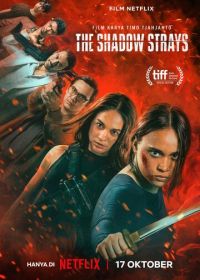 Блуждающая тень (2024) The Shadow Strays