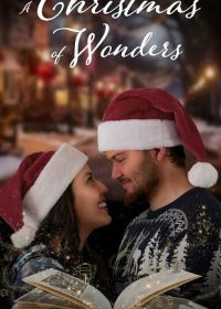 Чудесное Рождество (2023) A Christmas of Wonders