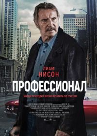 Профессионал (2024) Absolution