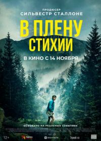 В плену стихии (2024) Lost on a Mountain in Maine