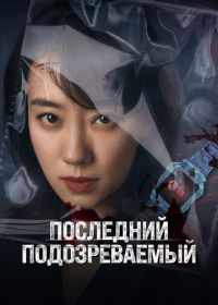 Последний подозреваемый (2023) Zheng jiu xian yi ren