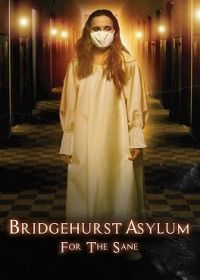 Бриджхёрст: Лечебница для вменяемых (2022) Bridgehurst Asylum for the Sane