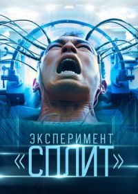 Эксперимент «Сплит» (2021) Plurality