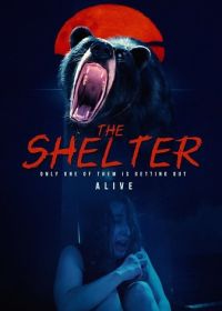 Укрытие (2024) The Shelter