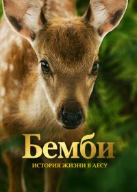 Бемби. История жизни в лесу (2024) Bambi, l'histoire d'une vie dans les bois