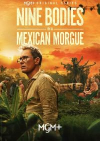 Девять тел в мексиканском морге (2025) Nine Bodies in a Mexican Morgue