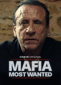 Мафия: Самые разыскиваемые (2025) Mafia: Most Wanted