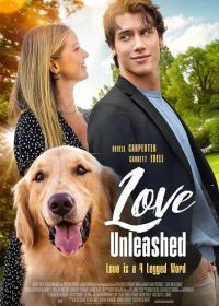 В поисках любви (2025) Moonlight Bay / Love Unleashed