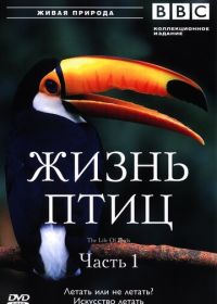 BBC: Жизнь птиц (1998) The Life of Birds