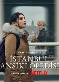 Энциклопедия Стамбула (2025) Istanbul Ansiklopedisi