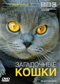 BBC: Загадочные кошки (2002) The Cat Connection