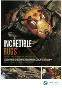 Удивительные насекомые (2015) Incredible Bugs