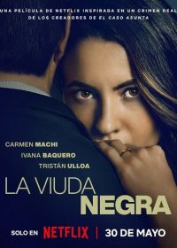 Игра вдовы (2025) La viuda negra