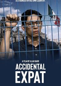 Экспат поневоле (2025) Accidental Expat