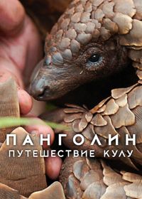 Панголин: Путешествие Кулу (2025) Pangolin: Kulu's Journey
