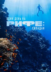 Один день на рифе: Сипадан (2023) A Day on the Reef: Sipadan