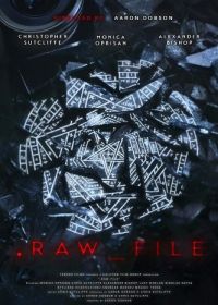 Неотредактированный видеофайл (2025) Raw File