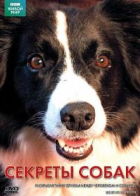 BBC: Секреты собак (2010) Secret Life of the Dog