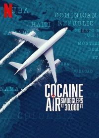 Эйр Кокаин (2025) Y a-t-il un dealer dans l'avion ? / Cocaine Air: Smugglers at 30,000 Ft.