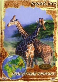 Млекопитающие. Дикий мир (1999) Mammals: The Wild World