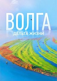 Волга: дельта жизни (2025)