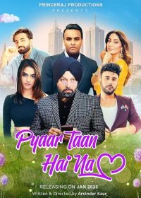 Но ведь это любовь? (2025) Pyaar Taan Hai Na