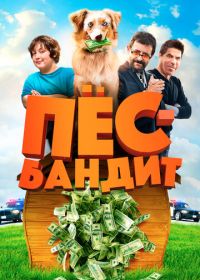 Пёс Бандит (2016) The Bandit Hound
