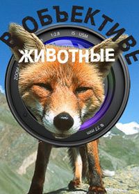 В объективе – животные (1981-1988)