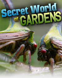 Удивительные обитатели сада (2000-2004) The secret world of gardens