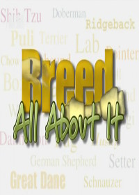 Всё о собаках (2007) Breed All About It