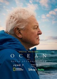 Дэвид Аттенборо: Океан (2025) Ocean with David Attenborough