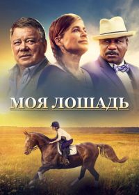 Моя лошадь (2016) A Sunday Horse