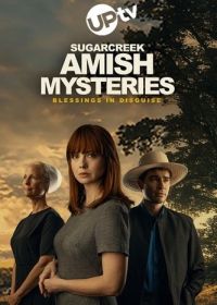 Тайны амишей из Шугар Крика: Нет худа без добра (2025) Sugarcreek Amish Mysteries: Blessings in Disguise