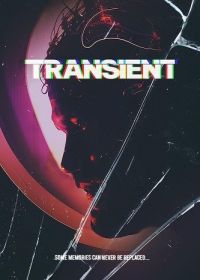 Переходный процесс (2024) Transient