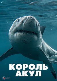 Король акул (2024) Boss Shark