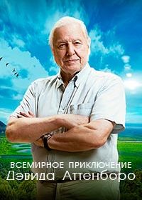 Всемирное приключение Дэвида Аттенборо (2021) David Attenborough's Global Adventures