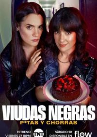 Вдовы, шлюхи и суки / Чёрные вдовы: Шлюхи и аферистки (2025) Viudas Negras: P*tas y Chorras