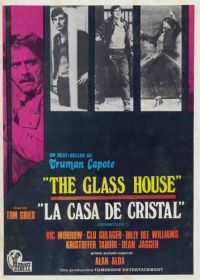 Стеклянный дом (1972) The Glass House
