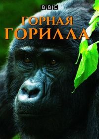 BBC: Горная горилла (2010) BBC Mountain Gorilla