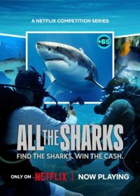 Все акулы (2025) All the Sharks
