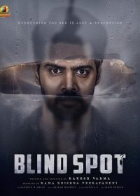 Слепое пятно (2025) Blind Spot