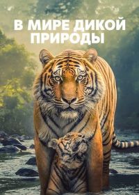 В мире дикой природы (2025) The Wild Ones