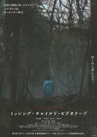 Видеозапись исчезновения ребёнка (2024) Missing Child Videotape