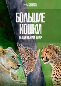 Большие кошки, маленький мир (2024) Big Cats, Small World